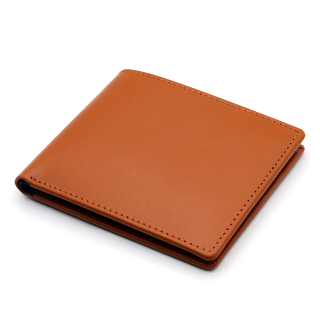 Men's Wallet  BRISTOL